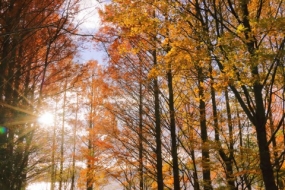 ありがとうございました^ ^