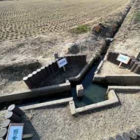 本日から出勤します！よろしくお願いいたします＊友菜