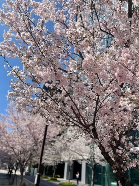 明日10日（金）から出勤します！＊友菜